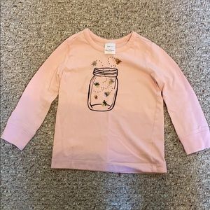 Hanna Andersson long sleeve T-shirt, size 3T.